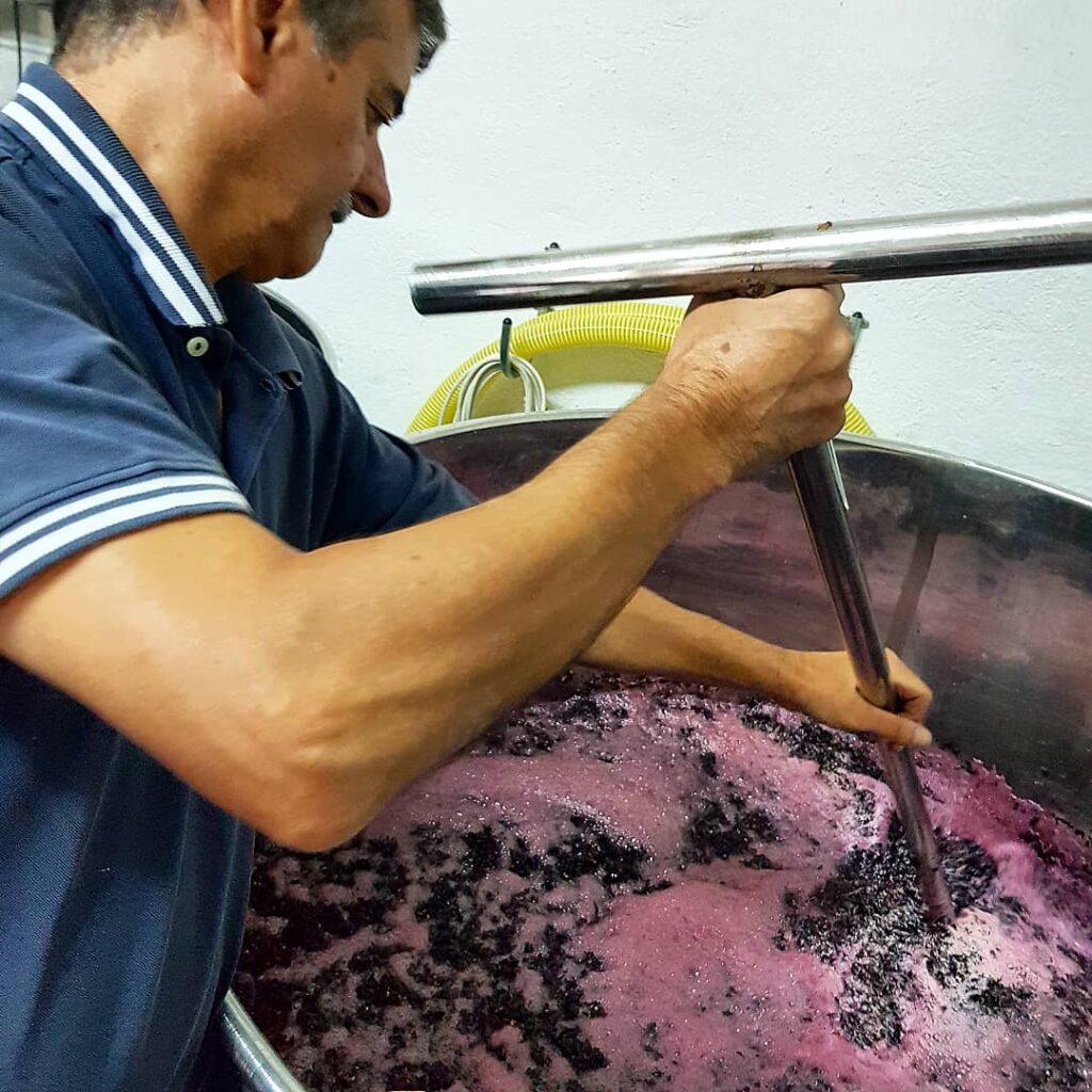 Inicio 20 acompanando al vino sin imponerle caminos 6